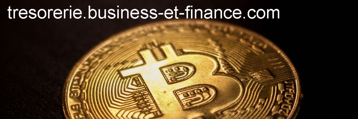 tresorerie.business-et-finance.com